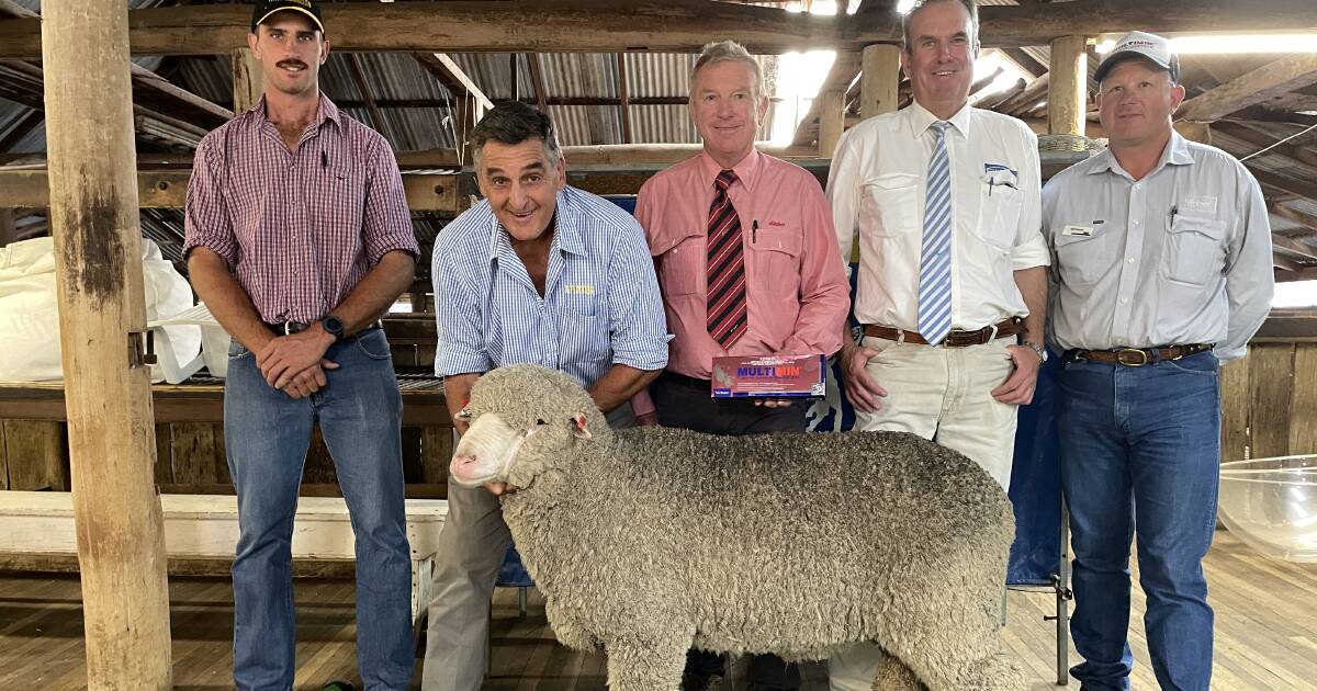 Alfoxton poll Merinos clear 61 of 69 rams with two rams to $5500