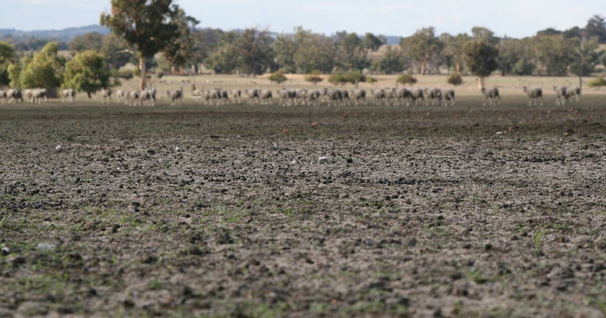 Drought loans described as "game changer"