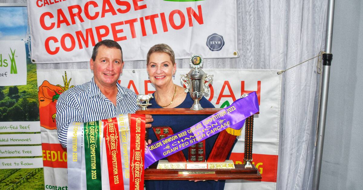 Calls for new exhibitors into Callide Dawson Beef Carcase competition