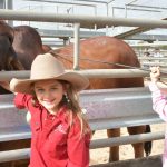 Industry shift: Top Australian feedlots embrace YoungStar mats