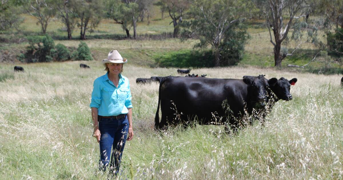 Beef Spectacular 2024: Results data invaluable for Liscombe Pools