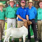 CSBP teams up with Basketball WA for regional program in Narrogin. | Farm Weekly