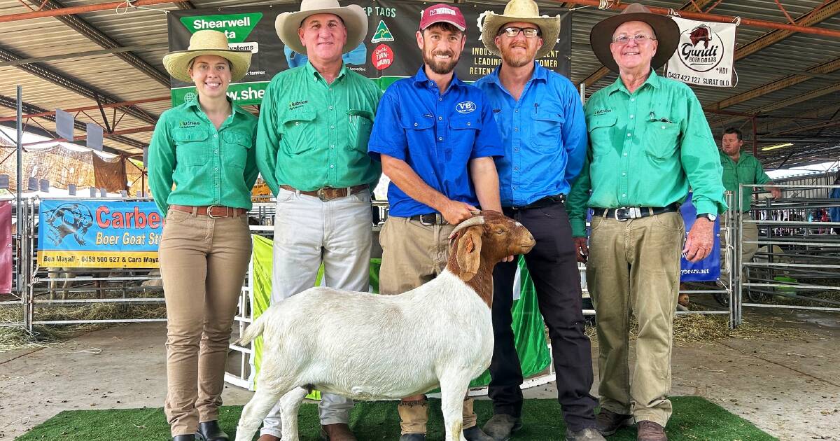 Pinnacle Boer Goat Sale: Army vets make mark with top doe purchase | Queensland Country Life