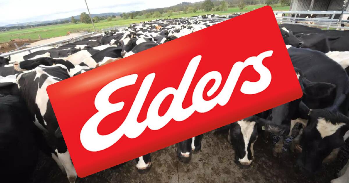 Elders Live Animal Export Certification Scandal revealed | North Queensland Register