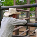 Cupid hits top spot at Southern NSW Aussie White sale on Valentines Day