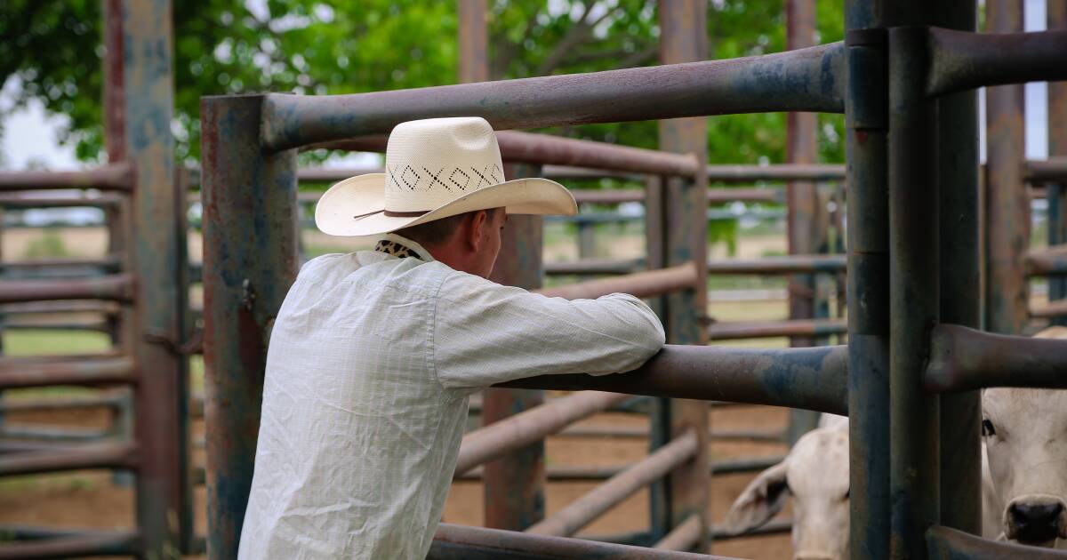 As rural male suicides increase, 'we lose a primary producer every 10 days'