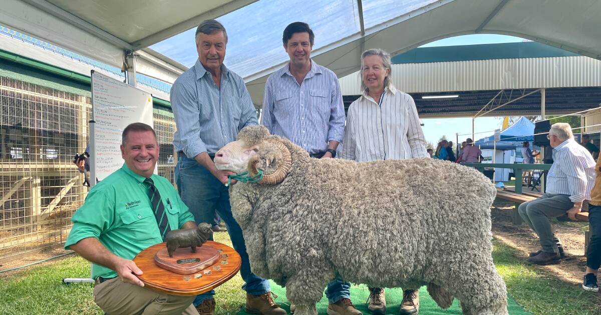 Merrignee takes out Great Southern Supreme Merino