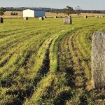 Helping beef producers advance their legacy