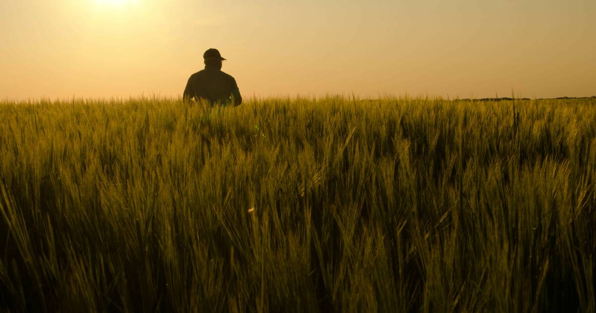 Australian grain industry perfectly poised to capitalise on carbon insets | The Land