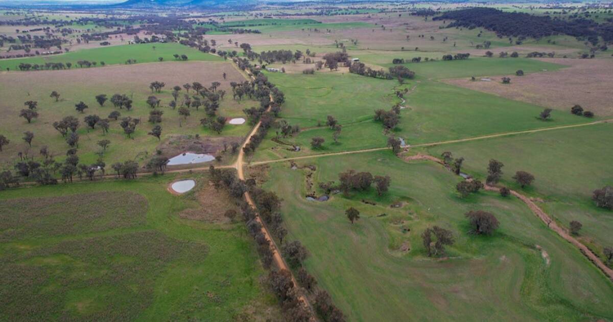 Impressive Willawong on the market for $51.9 million