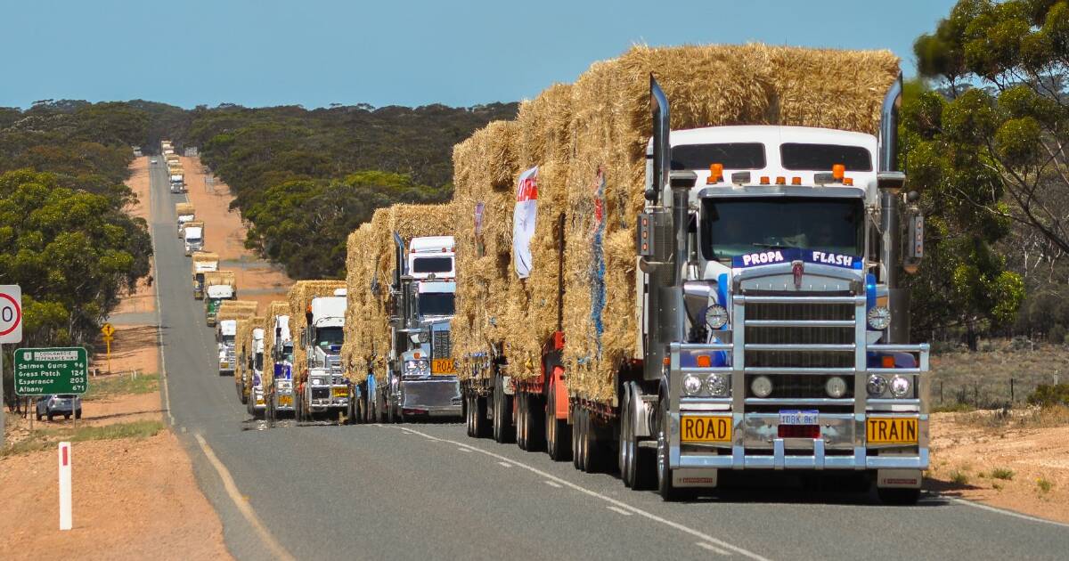 Farmers Across Borders Seek Donations amid Drought to Deliver Feed | Farm Weekly