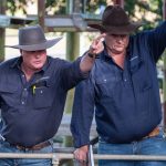 Photos: Mid Lachlan Flock Ewe Competition