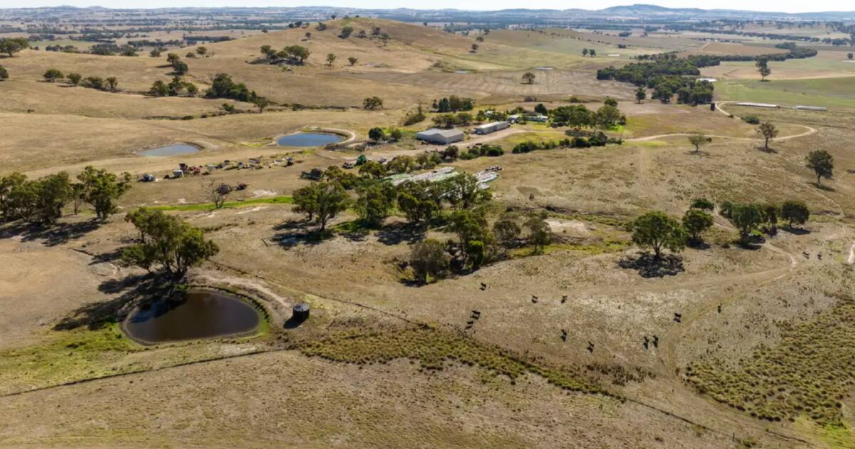 Quality Riverina cropping, grazing and breeding country | Video