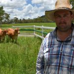 Japanese academics visit Gingin to study stable fly control | Farm Weekly