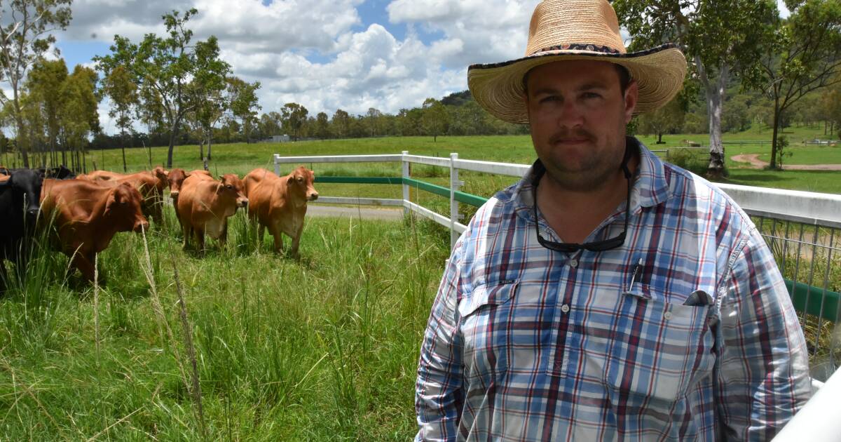 'Putting up a good fight': Grazier shares rat's tail management