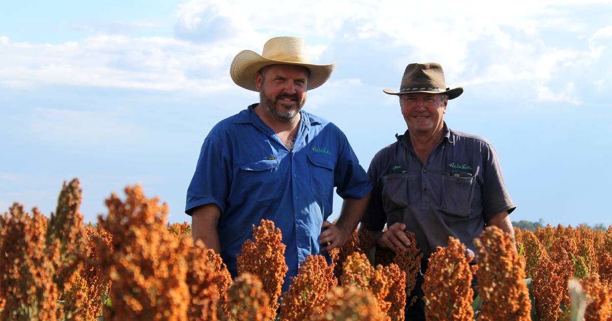 Grain growers make small changes for big gains