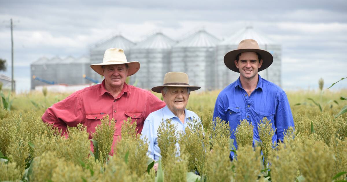 How flexibility and family keeps Crothers grain farm growing strong