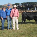 Some weaner heifers up to 30c/kg dearer at Gracemere