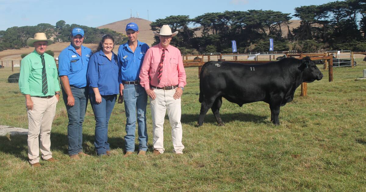 NSW stud purchases record-breaking Angus bull from Victoria