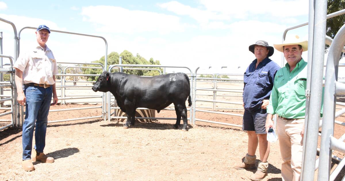 Springhills Angus sale peaks at $20,000