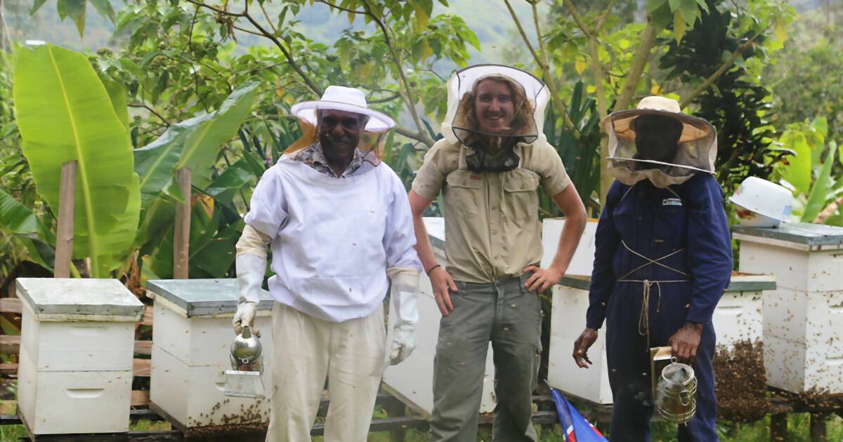 Scientist Dr Cooper Schouten shares his passion for honey bees | The Land