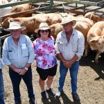 Koojan Hills Angus sire tops at $17,000