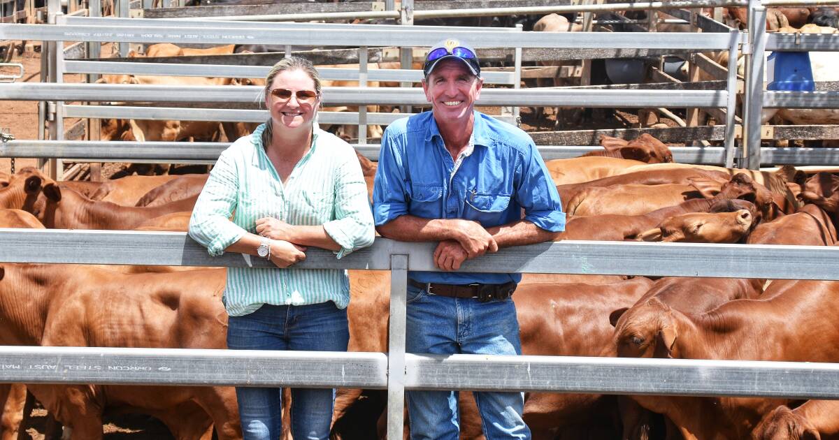 Muster timing delivers strong prices at Roma