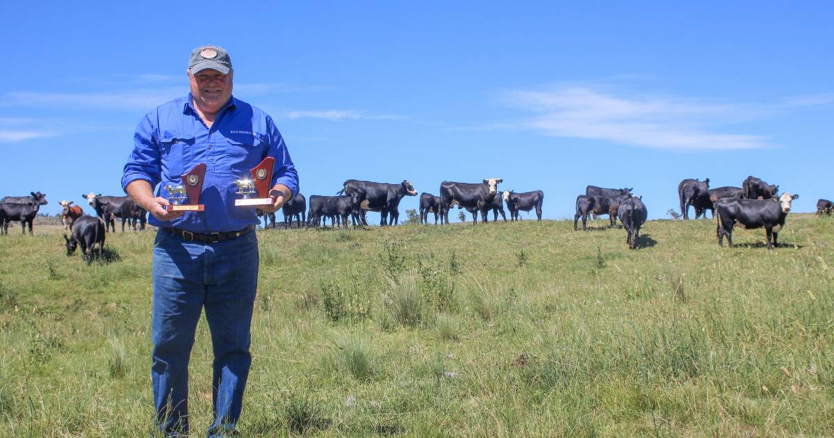 Beef Spectacular Feedback Trial 2024: Boco Pastoral breeding for tough conditions