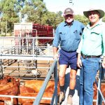 Could these Rocky silos be the next hotspot on the Aussie Silo Art Trail?