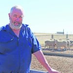 Drought finally breaks at Kanandah station