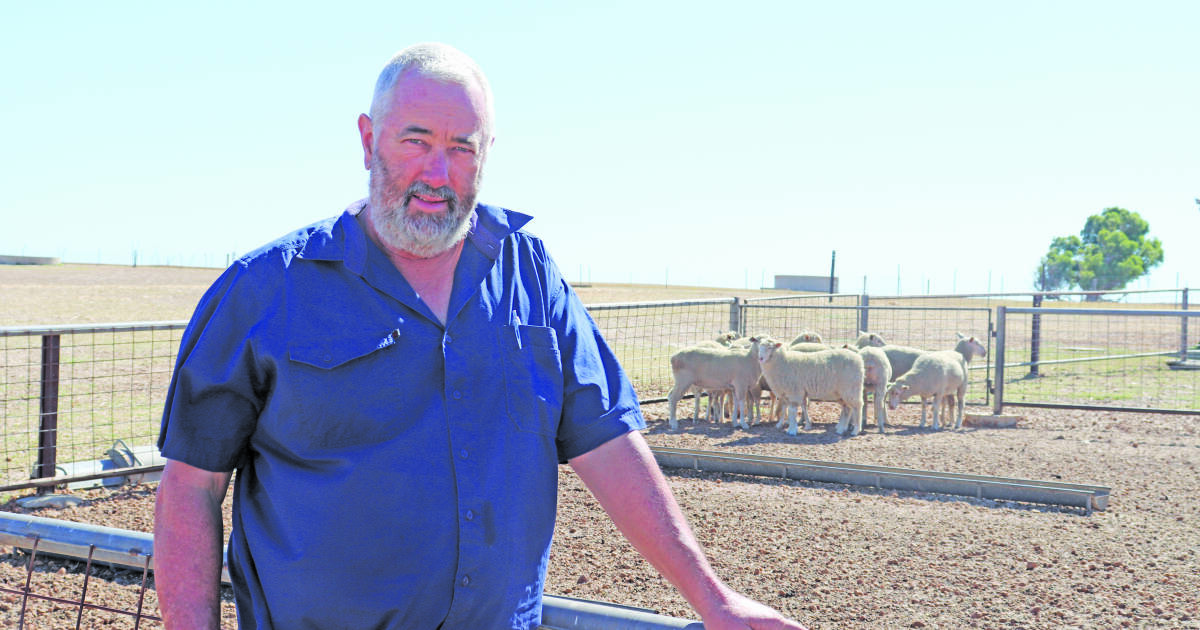 Tough to blame government department for live export saga says Patmore