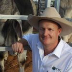 Paddock stored hay incurs rain damage after wet summer