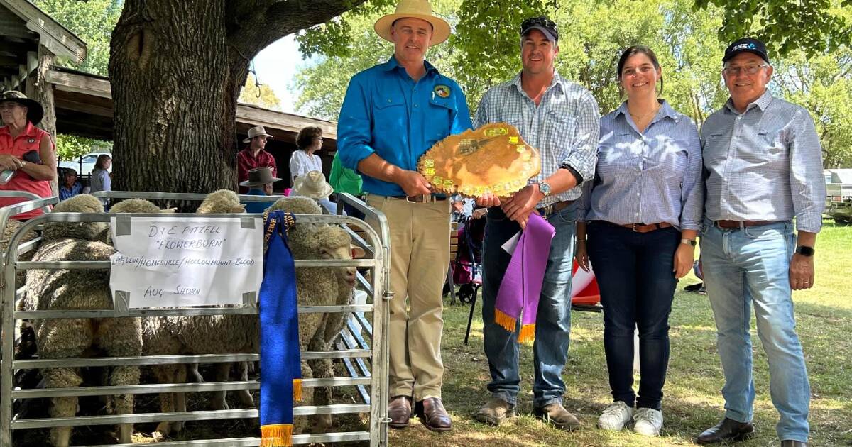 Fitzell family earn Crookwell Flock Ewe comp's top honour