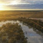 Why Annabel Johnson said 'yes' to NSW Farmers' top job