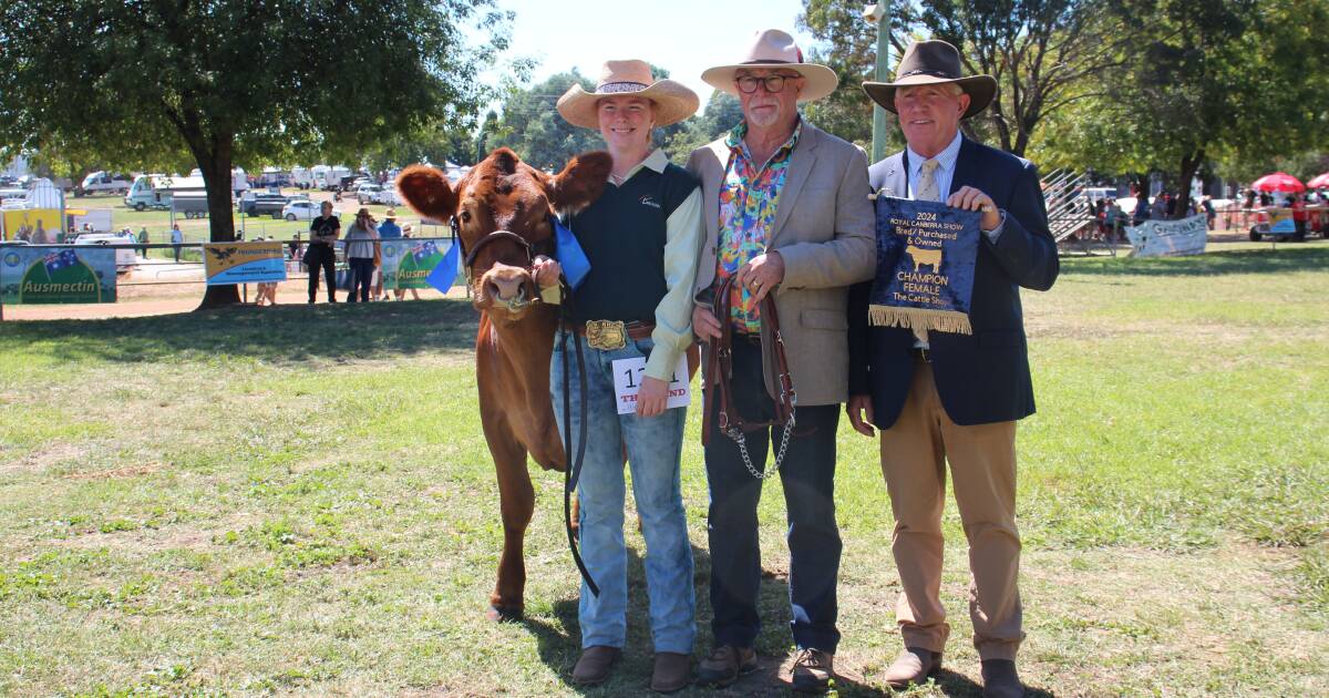 Cattle industry's next generation shine at Canberra Royal 2024