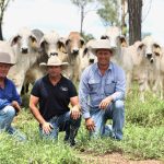 Limousin's claim top carcase ribbons at 2024 Royal Canberra Show