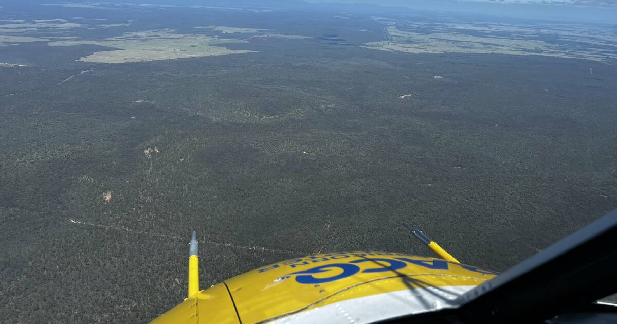 Man buried in grain on CQ property