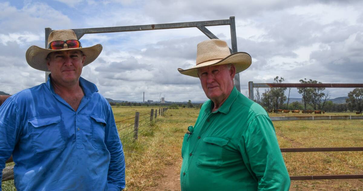 PFAS contamination in beef has a Queensland cattleman warning it could put our export markets at risk | The Land