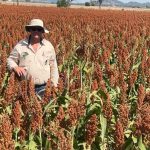 Soil sampling in Central Queensland #agriculture #shorts