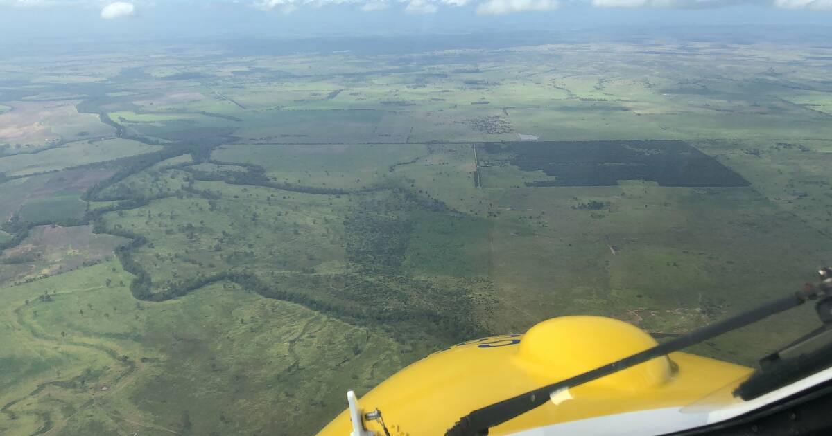 Rescue helicopter sent to help two people trampled by cattle in CQ