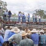 Townsville work camp prisoners help flooded communities | Queensland Country Life