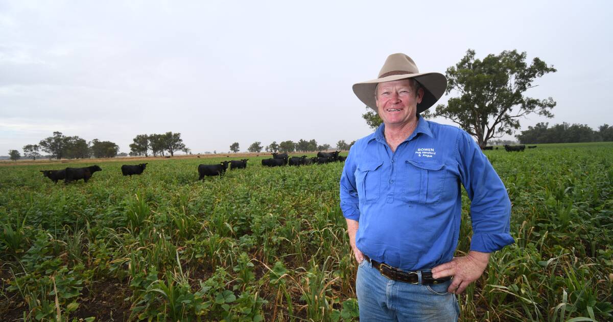 Beef Spectacular 2024: Rookie award taken out by Bowen Pastoral