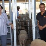 Mount Isa rail line up and running after Julia Creek flood damage