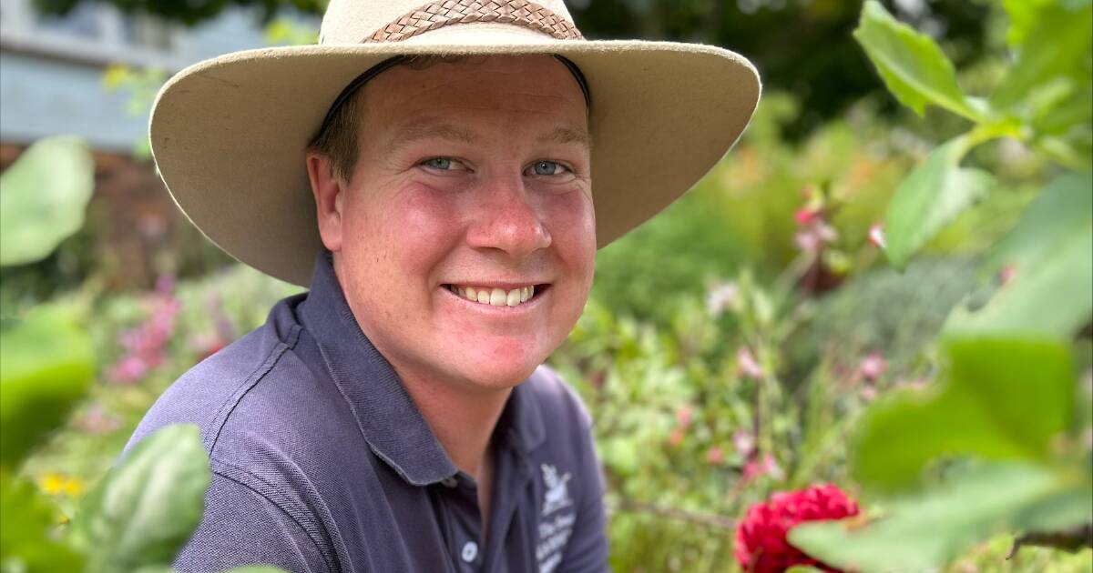 James Feez shared his gardening tips and tricks | Queensland Country Life