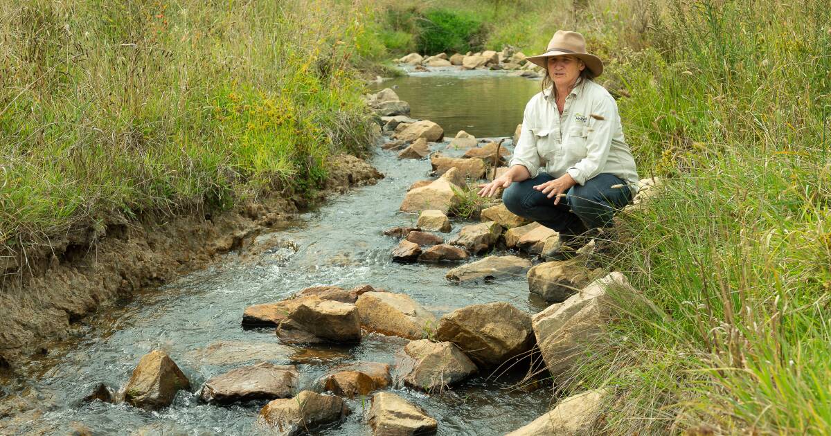 Upper Billabong landholders' hard work pays off with thriving wildlife