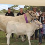 WA coast braces for ex-tropical cyclone Lincoln | Farm Weekly