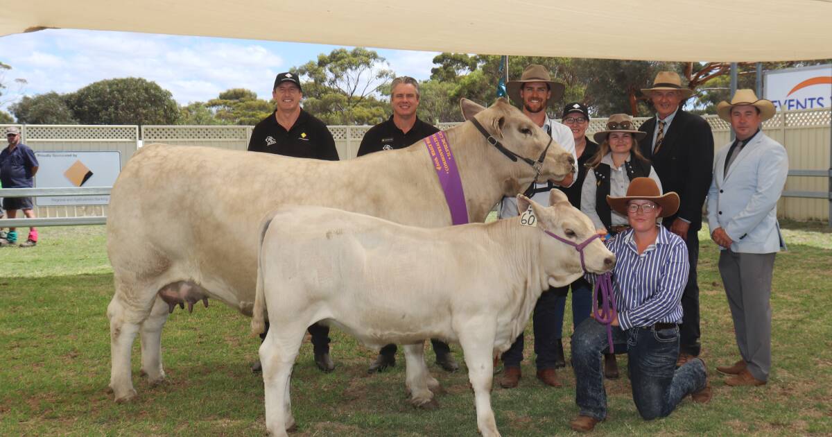 Wagin Woolorama’s New Cattle Class Success in 2024 | Farm Weekly