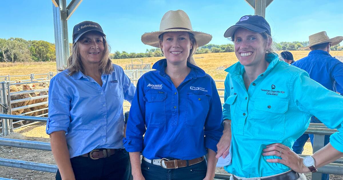 Photos: Mid Lachlan Flock Ewe Competition