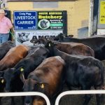 Josh Hartup wins grand champion parader at 2024 Royal Canberra Show | The Land