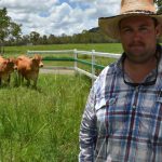 South Australian studs pay top price at Lorelmo poll Merino sale | The Land